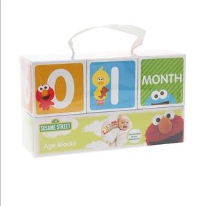 Milestone Age Blocks